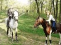 Конный клуб "HORSE TRAVEL"